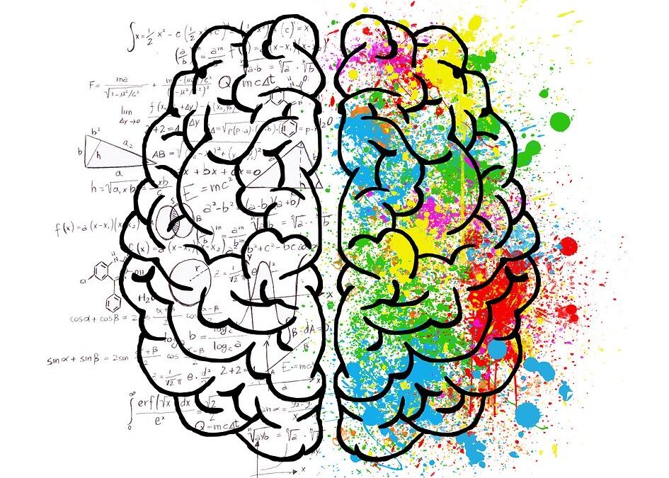 Brain or mind, which was first?
