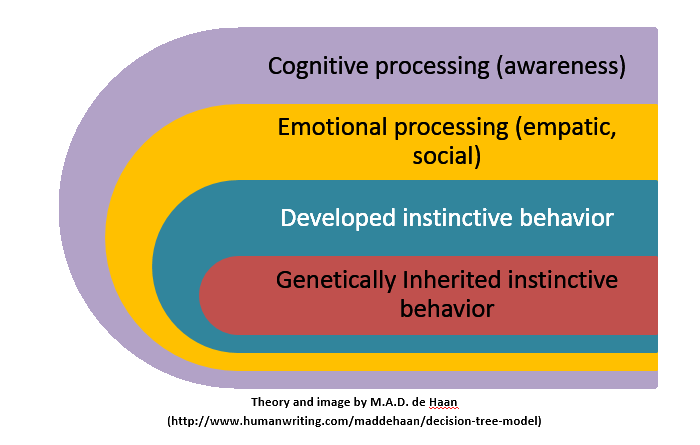 Decision Tree Model